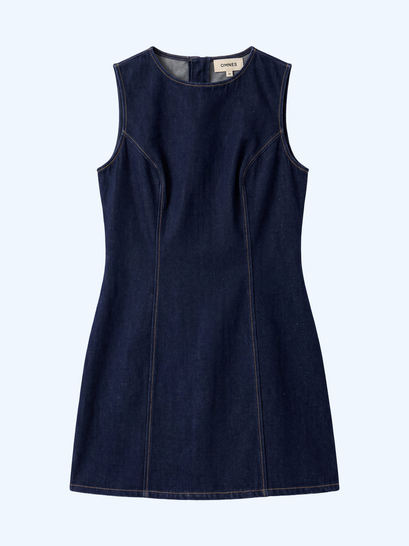 Jones Dress in Denim