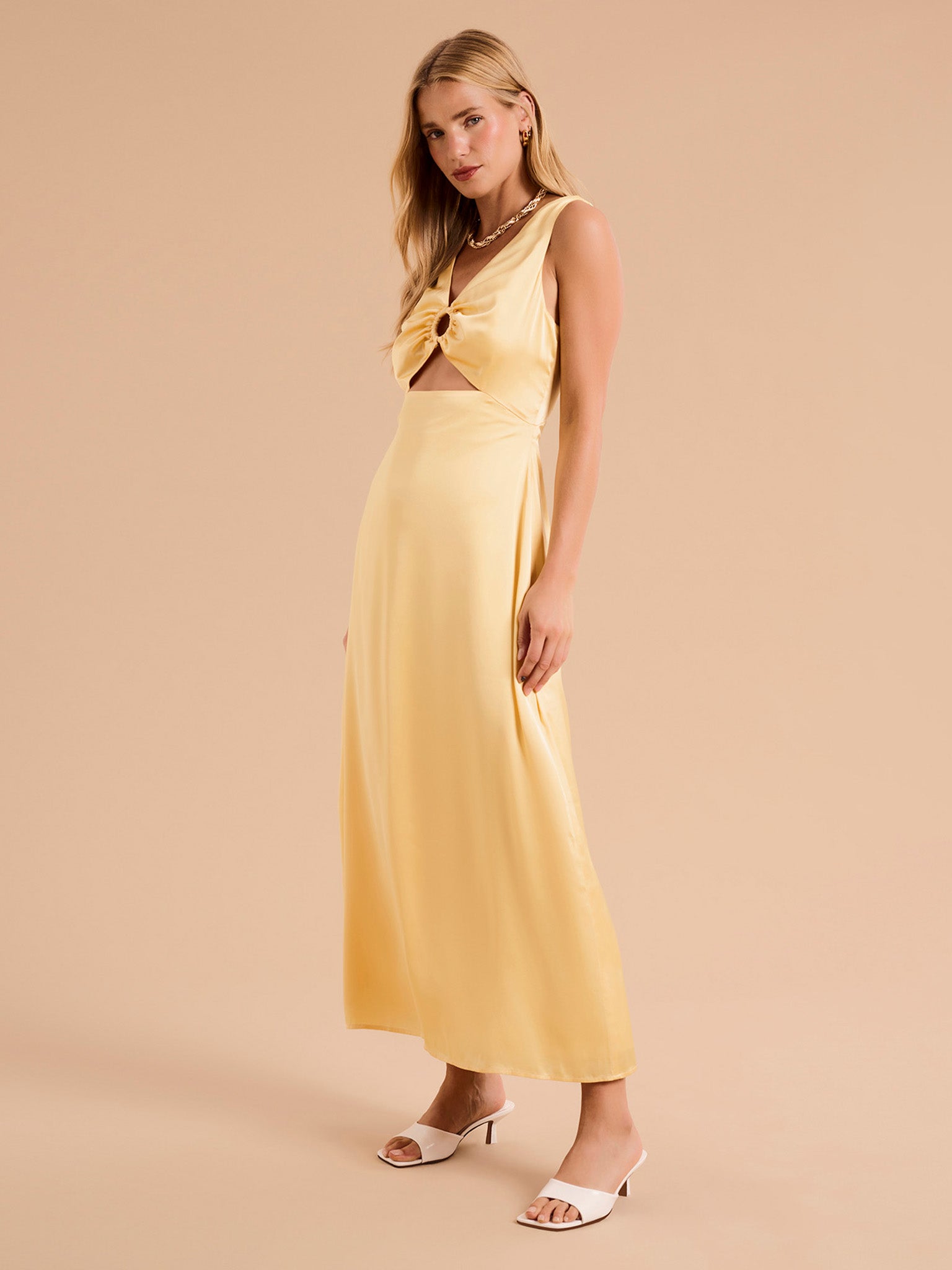 Ameri　SPUN ORGANDY PLEATS DRESS Fredricka Ring Detail Maxi Dress – OMNES