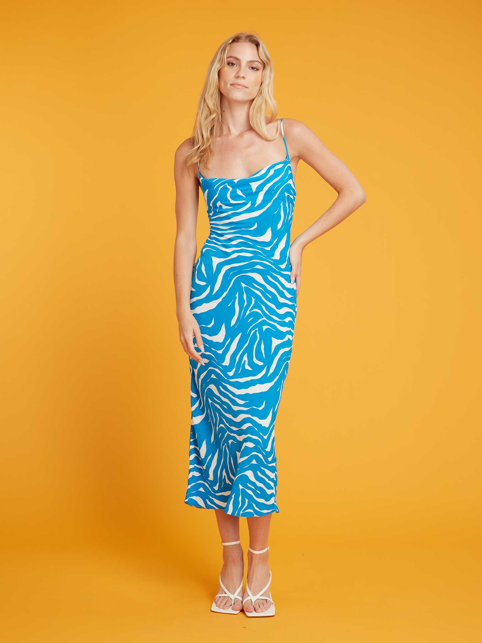 Riviera Midi Dress in Blue Zebra Print
